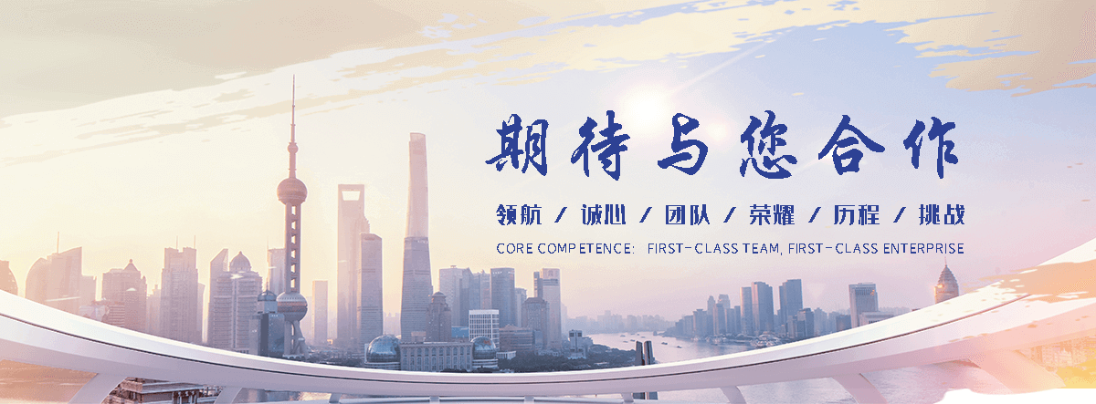 临沧海狮租赁公司